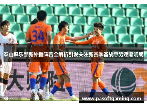 泰山俱乐部新外援阵容全解析引发关注新赛季备战态势逐渐明朗