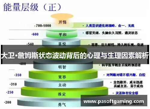 大卫·詹姆斯状态波动背后的心理与生理因素解析