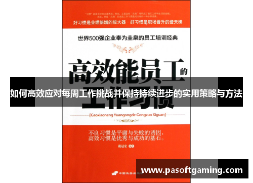 如何高效应对每周工作挑战并保持持续进步的实用策略与方法
