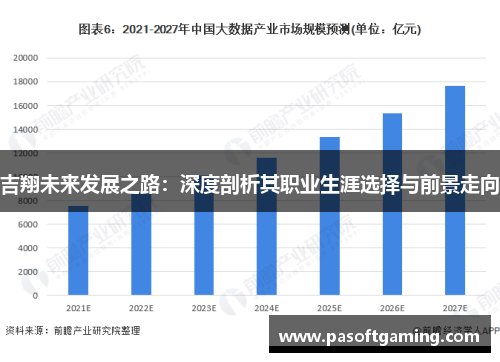 吉翔未来发展之路：深度剖析其职业生涯选择与前景走向