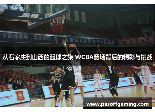 从石家庄到山西的篮球之旅 WCBA赛场背后的精彩与挑战