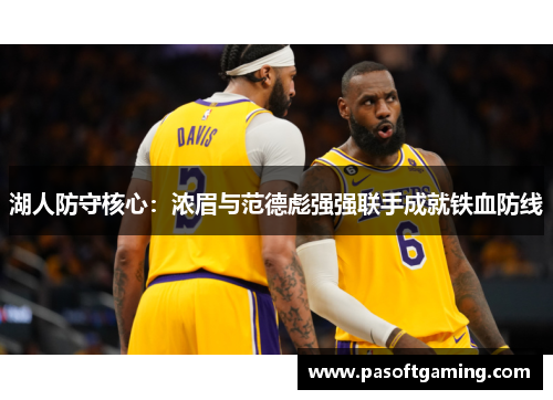 湖人防守核心：浓眉与范德彪强强联手成就铁血防线
