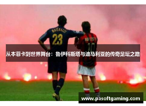 从本菲卡到世界舞台：鲁伊科斯塔与迪马利亚的传奇足坛之路