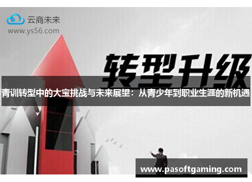 青训转型中的大宝挑战与未来展望：从青少年到职业生涯的新机遇