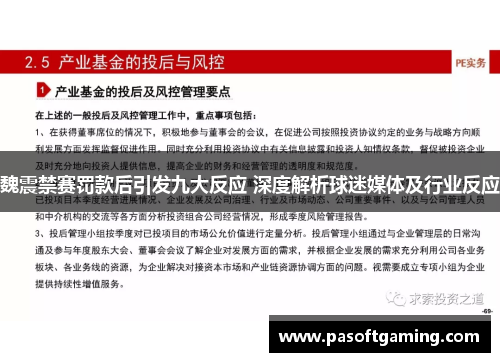 魏震禁赛罚款后引发九大反应 深度解析球迷媒体及行业反应