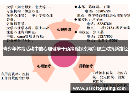 青少年体育活动中的心理健康干预策略探索与抑郁症对抗新路径