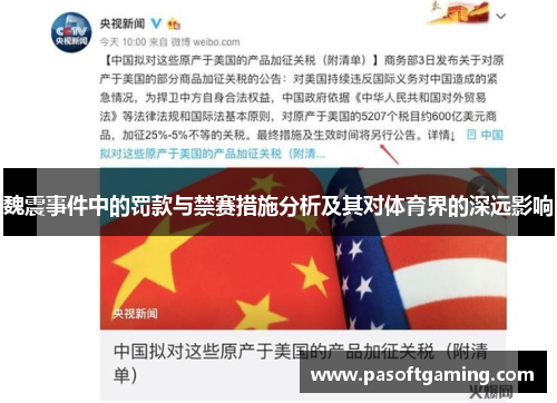 魏震事件中的罚款与禁赛措施分析及其对体育界的深远影响