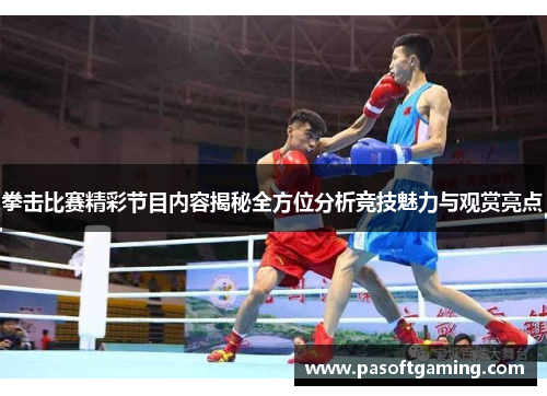 拳击比赛精彩节目内容揭秘全方位分析竞技魅力与观赏亮点