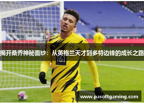 揭开桑乔神秘面纱：从英格兰天才到多特边锋的成长之路