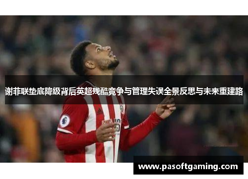 谢菲联垫底降级背后英超残酷竞争与管理失误全景反思与未来重建路 谢菲联垫底降级背后英超残酷竞争与管理失误全景反思与未来重建路