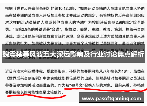 魏震禁赛风波五大深远影响及行业讨论焦点解析
