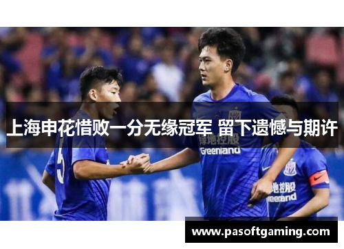 上海申花惜败一分无缘冠军 留下遗憾与期许